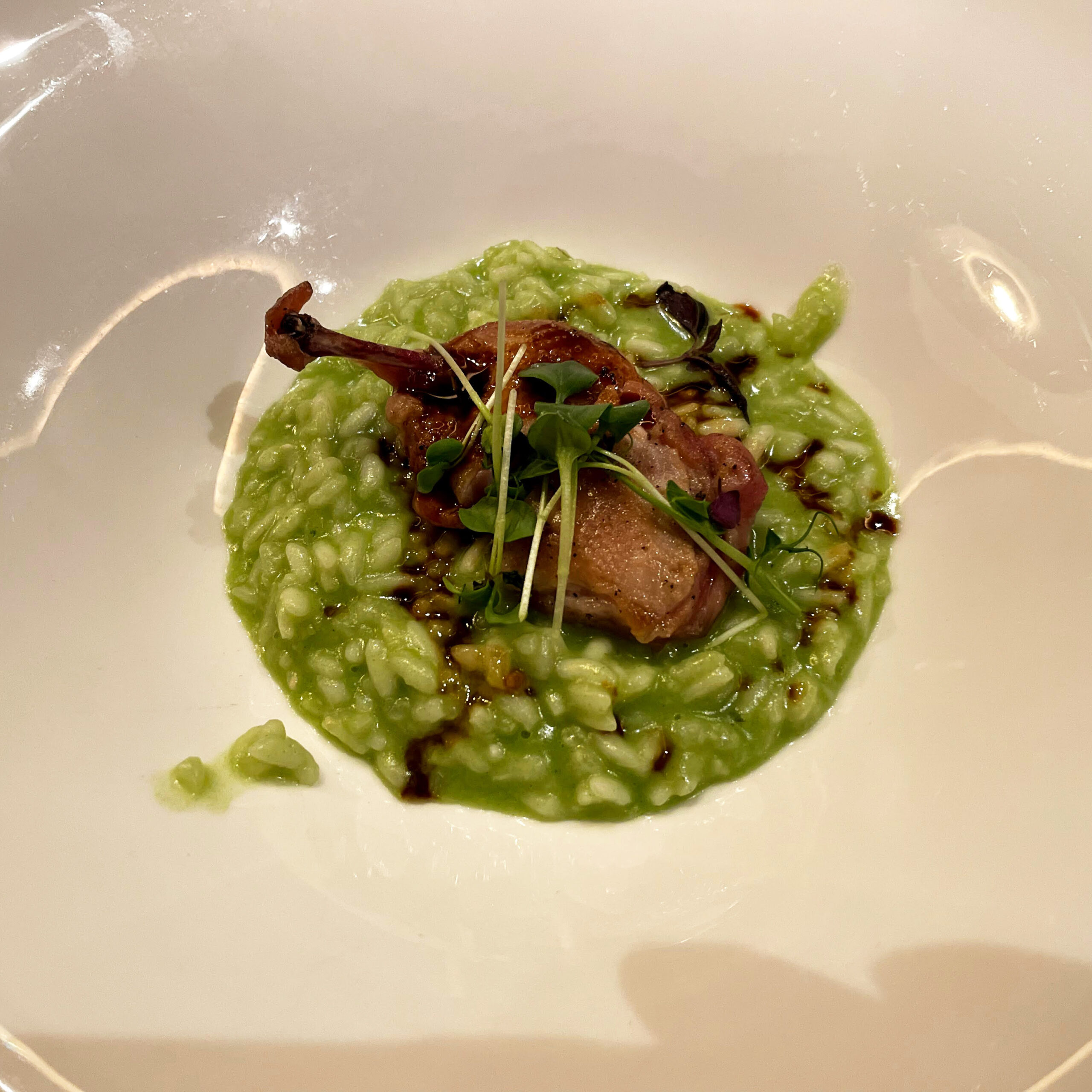Grünes Risotto mit gebratenem Fleischstück, angerichtet auf einem tiefen Teller.
