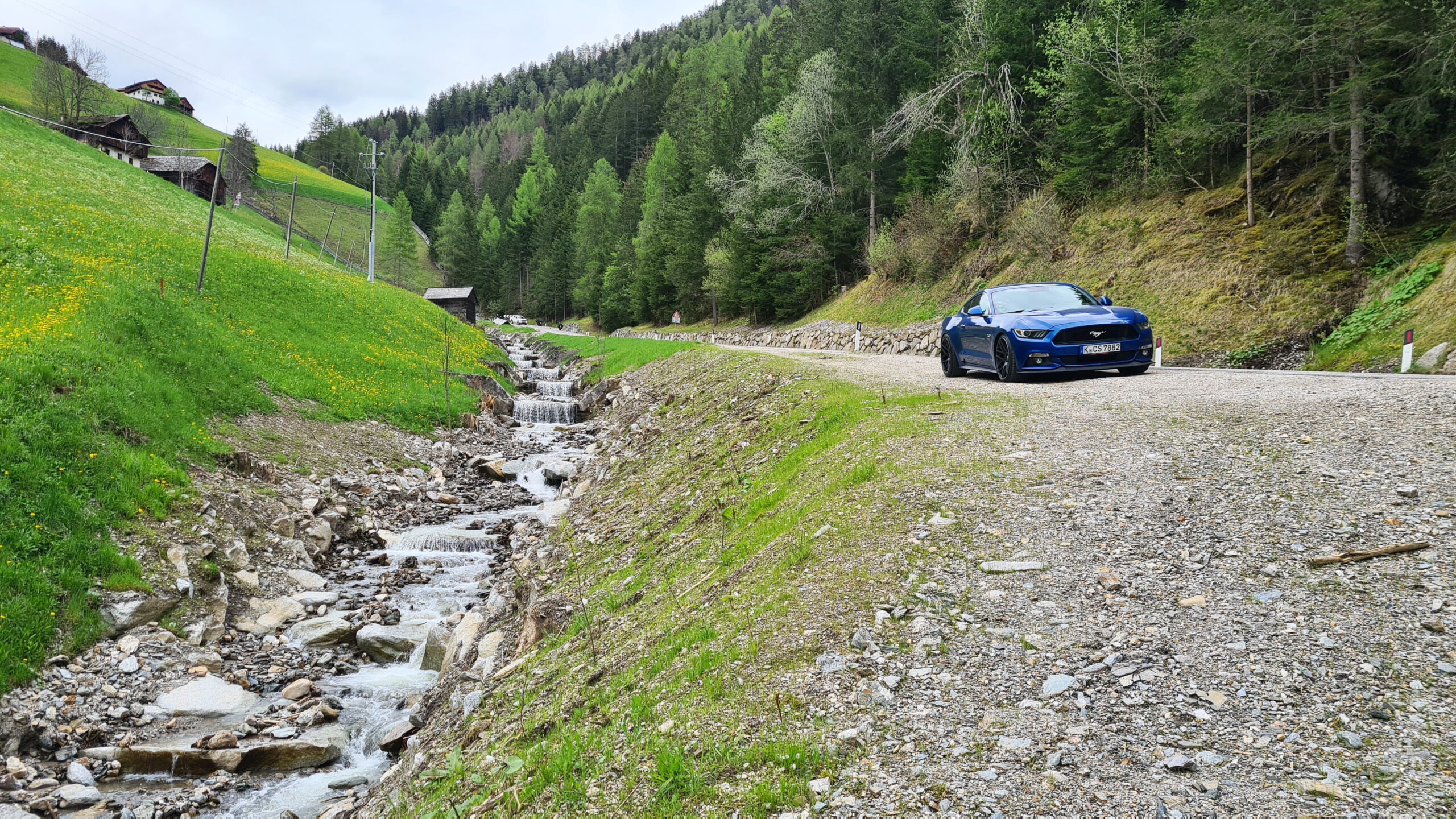 Blauer Mustang an einem kleinen Bach inmitten grüner Berglandschaft am Furkelpass.